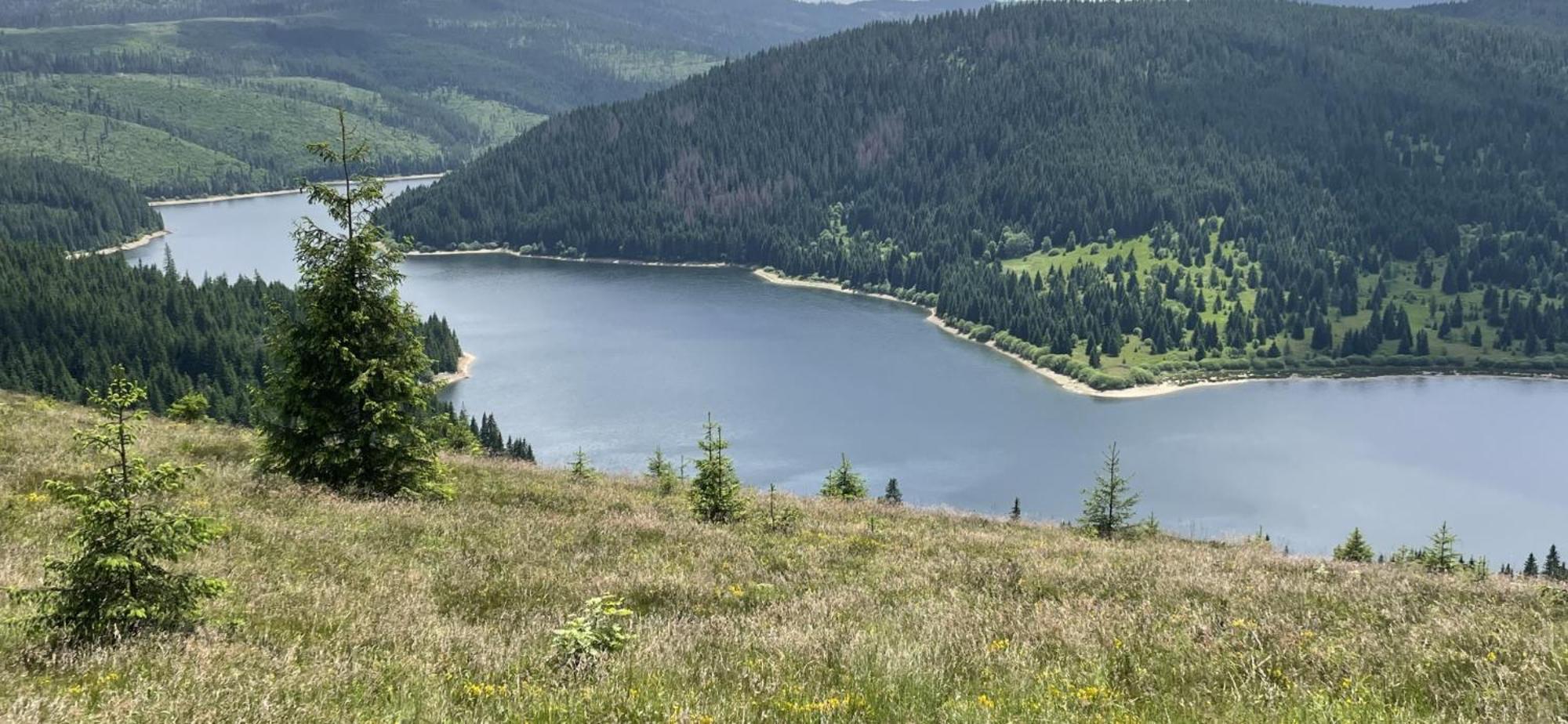 Cabana Transilvania Белиш Экстерьер фото