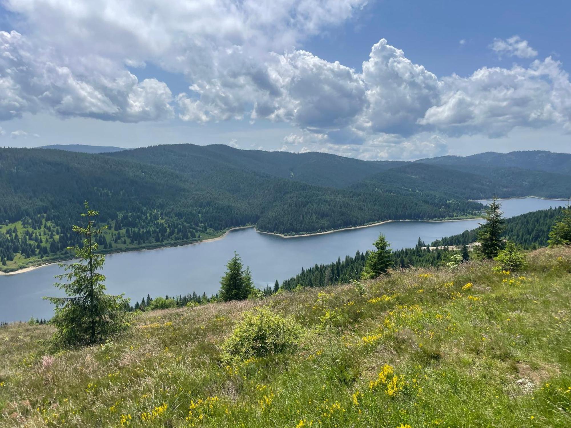 Cabana Transilvania Белиш Экстерьер фото
